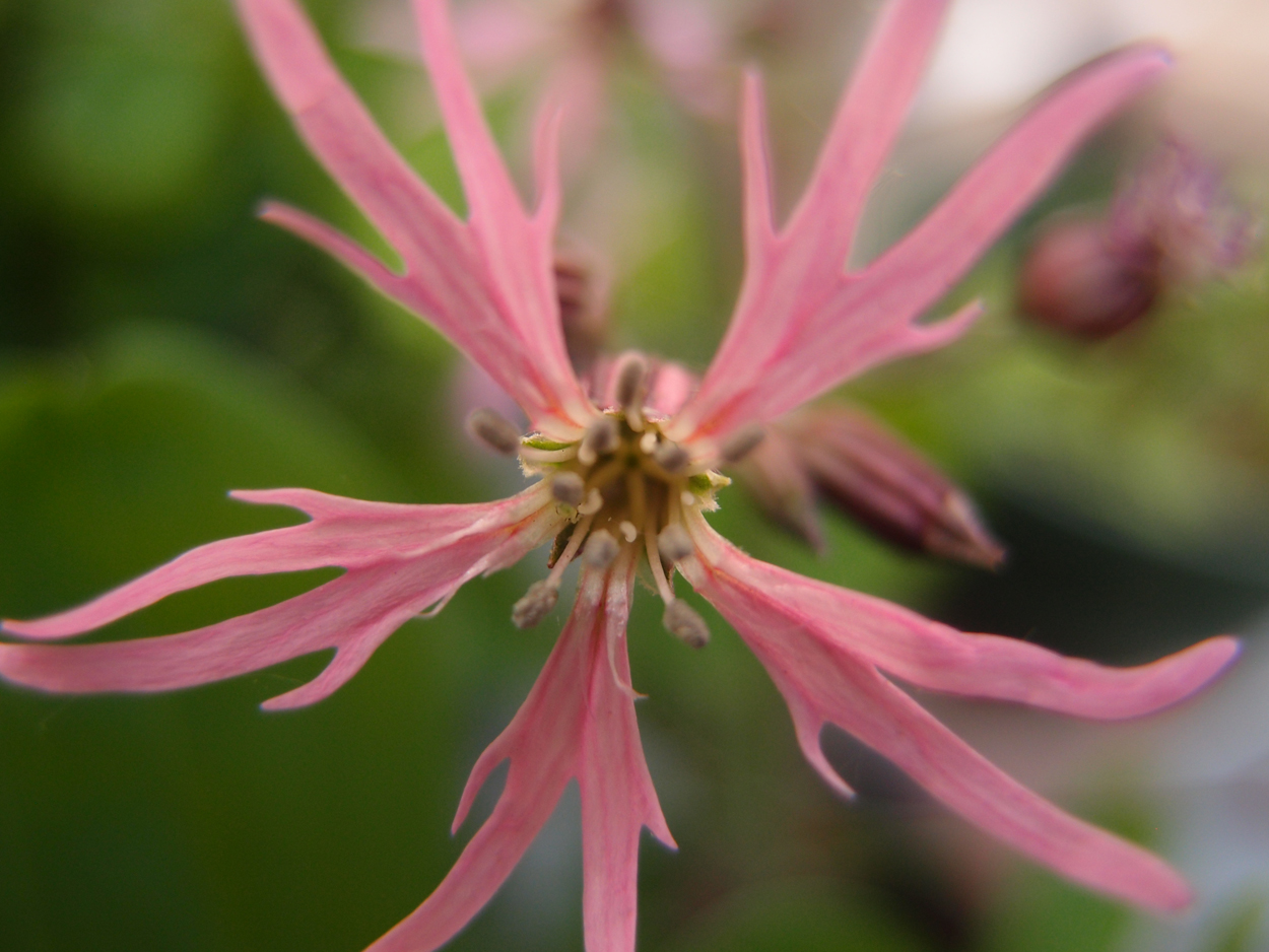 2019-04-24 wendel - der Garten